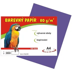 Papier für den Kunstunterricht A4/100/80g lila